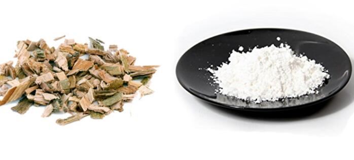 Willow Bark Extract vs Salicylic Acid Willow Bark Extract vs Salicylic Acid