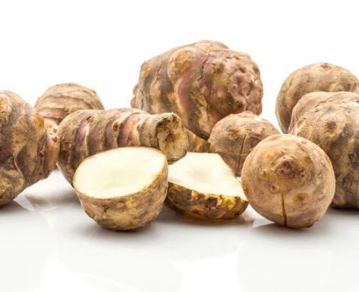 Agave inulin vs Chicory inulin