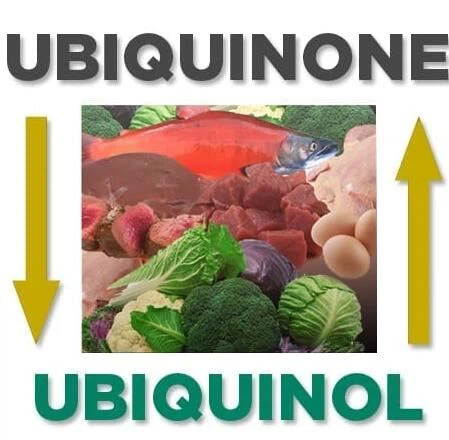 Ubiquinol vs Ubiquinone Ubiquinol vs Ubiquinone