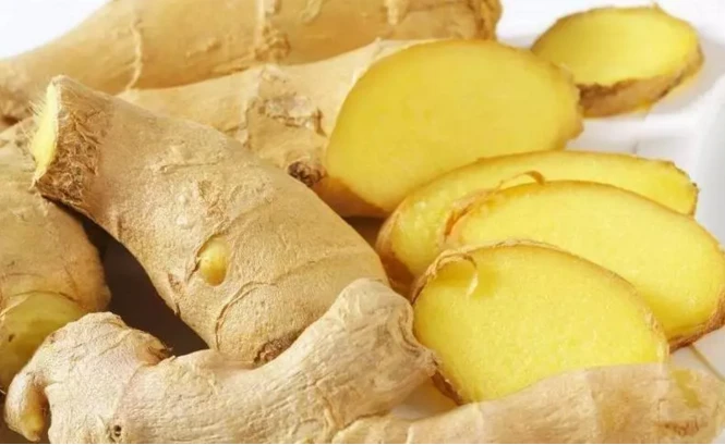 Gemberextract - Gingerol