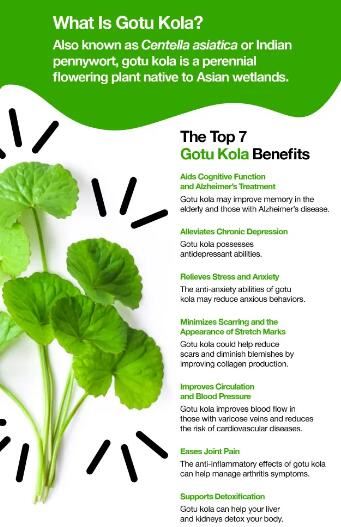 Wat is Gotu Kola?