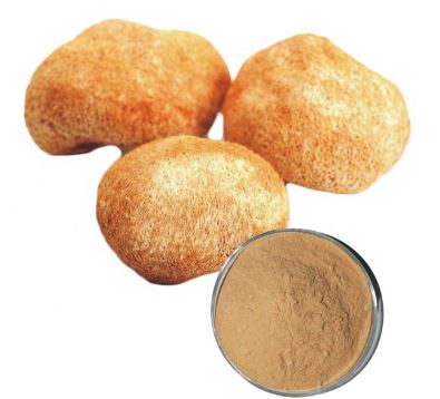 Lion's Mane Mushroom Powder Bulk