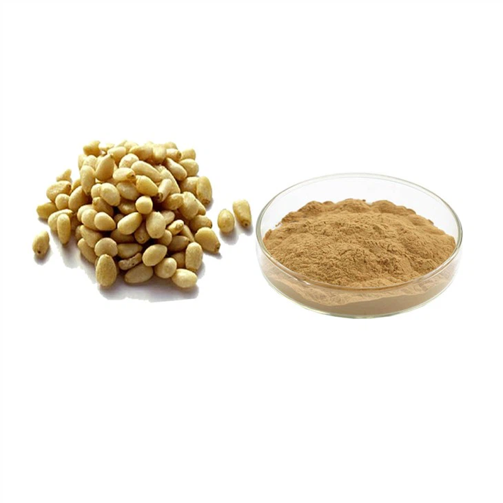 Pijnboompittenextract