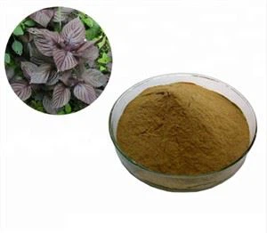 Perilla-extract