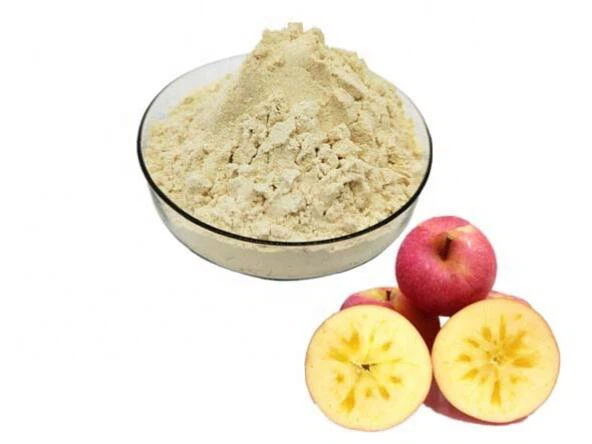 Gevriesdroogd appelpoeder
