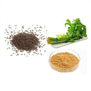 Biologische selderijzaadpoeder