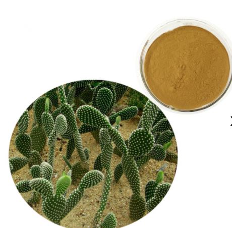 Cactusvijg Poeder Bulk