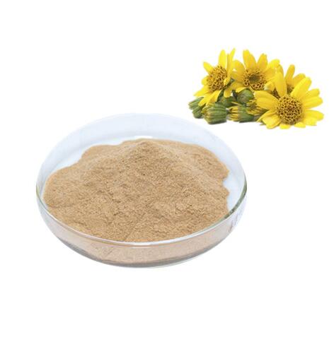 Puur Arnica Extract