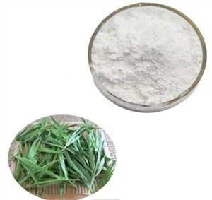 Bamboe Silica Poeder