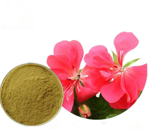 Wild Geranium-extract